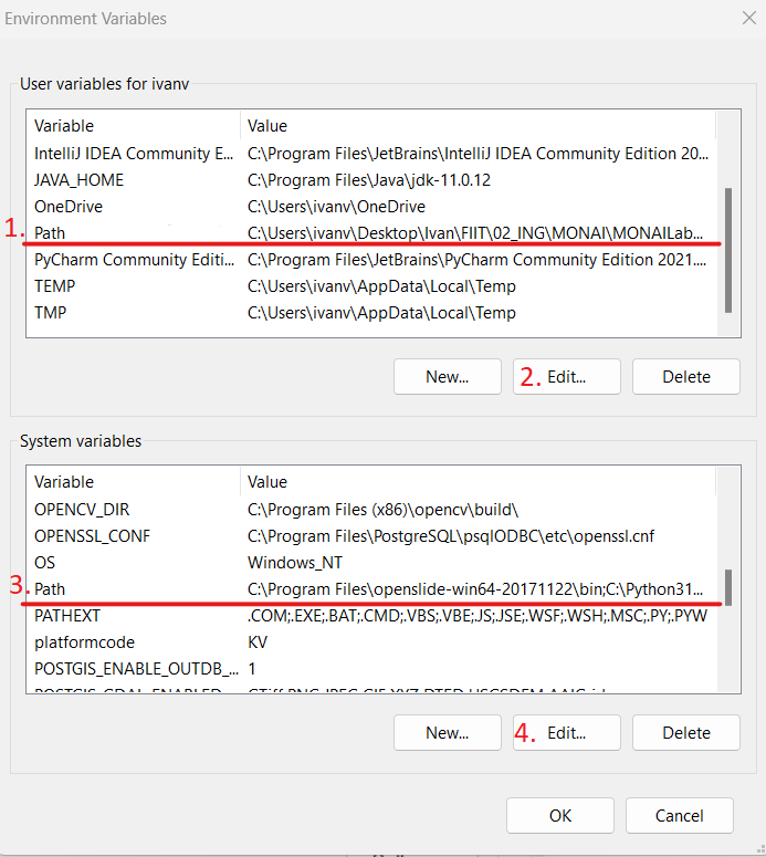 Set environment variables 3